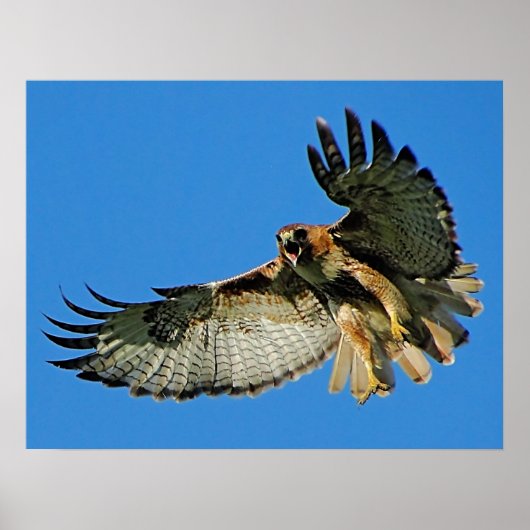 Schall der Gerahmten Warnmeldung Poster (Vorne)