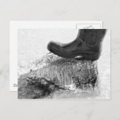 Schallflächen Postkarte (Vorne/Hinten)