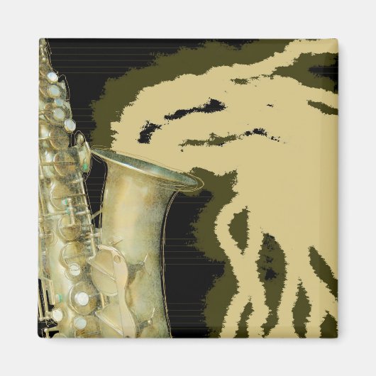 Schallplatte, Magnetplatte Magnet (Vorne)