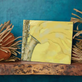 Schallplatte, Tafel Fotoplatte (Seite)