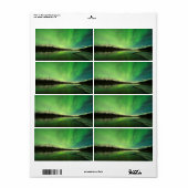Schalotten Aurora (Vorne)