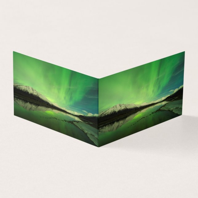Schalotten Aurora (Vorderseite)