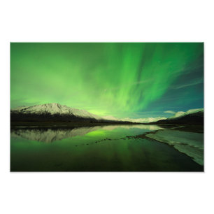 Schalotten Aurora Fotodruck