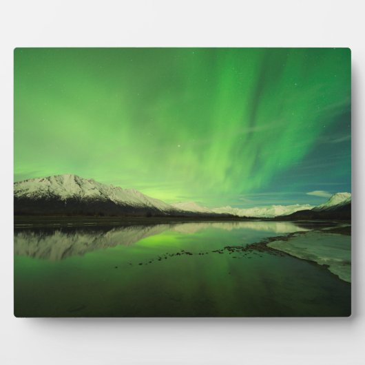 Schalotten Aurora Fotoplatte (Vorderseite)