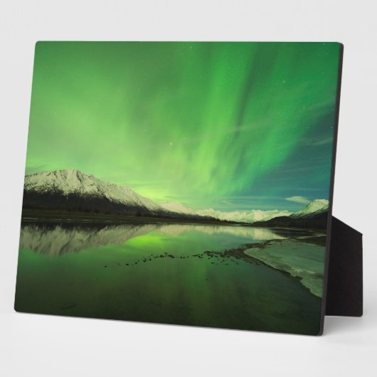 Schalotten Aurora Fotoplatte (Seite)