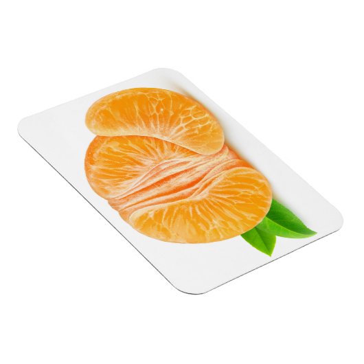 Schälte Mandarine Magnet (Rechte Seite)