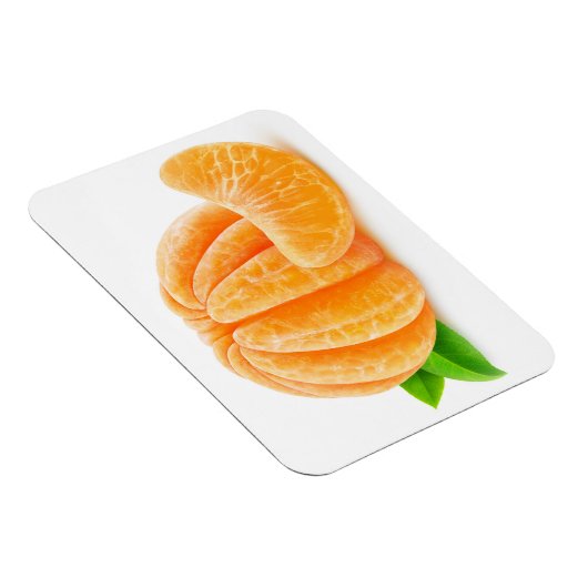 Schälte Mandarine Magnet (Rechte Seite)