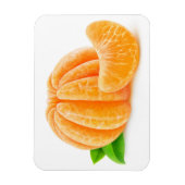 Schälte Mandarine Magnet (Vertikal)