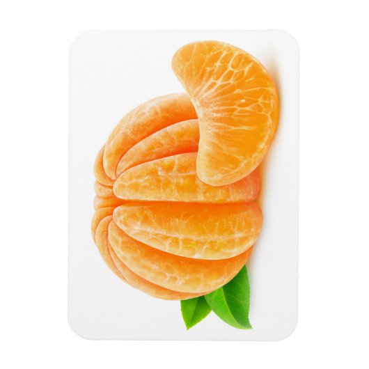Schälte Mandarine Magnet (Vertikal)