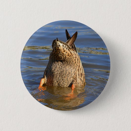 Schaltfläche "Abdrücken" Button (Vorderseite)