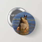 Schaltfläche "Abdrücken" Button (Vorne & Hinten)