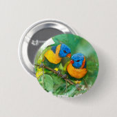 Schaltfläche "Afrikanische Papageien" Button (Vorne & Hinten)