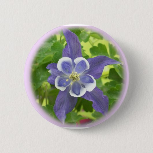 Schaltfläche "Aquilegia Columbine Blume" Button (Vorderseite)