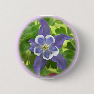 Schaltfläche "Aquilegia Columbine Blume" Button