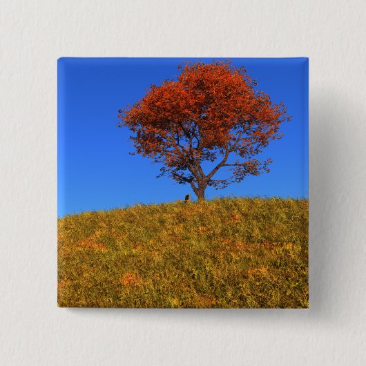 Schaltfläche "Autotag löschen" Button (Vorderseite)