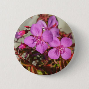 Schaltfläche Begonia Button