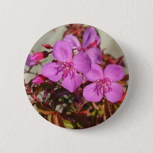 Schaltfläche Begonia Button (Vorderseite)