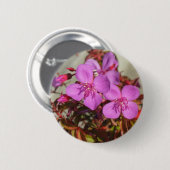 Schaltfläche Begonia Button (Vorne & Hinten)