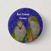Schaltfläche "Beste Freunde Niedlicher Vögel - Fre Button (Vorderseite)