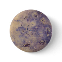 Schaltfläche "Bienen im Weltraum"