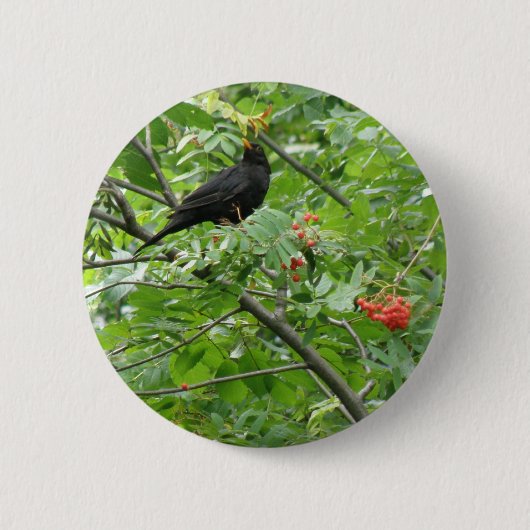 Schaltfläche "Blackbird and Berries" Button (Vorderseite)