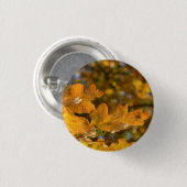 Schaltfläche "Blätter im Herbst" / Abzeichen Button (Vorne & Hinten)