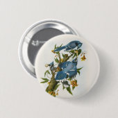 Schaltfläche "Blau Jay" Button (Vorne & Hinten)