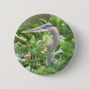 Schaltfläche "Blaue Herde" Button
