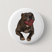 Schaltfläche "Blaue Nose Pitbull" Button (Vorderseite)