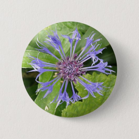 Schaltfläche Blauer Kornblume Button (Vorderseite)
