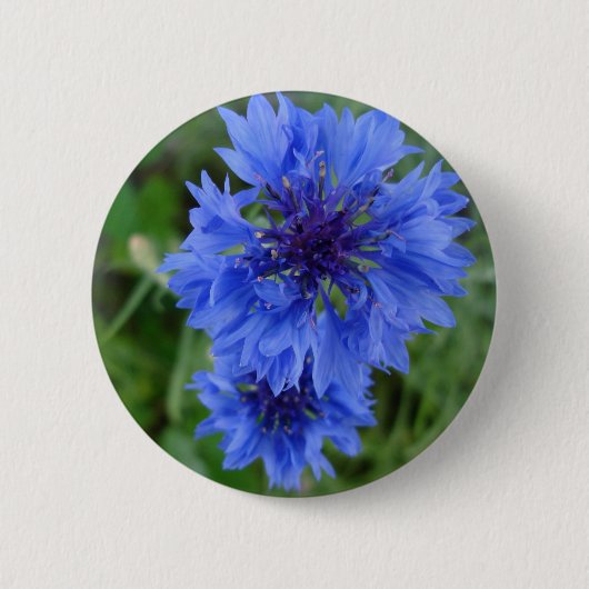 Schaltfläche Blauer Kornblume Button (Vorderseite)