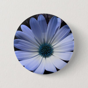 Schaltfläche Blue Daisy Blume Button