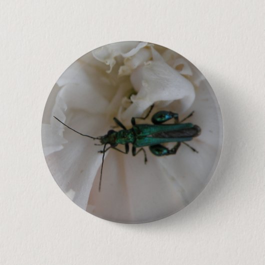 Schaltfläche Blume Käfer Button (Vorderseite)