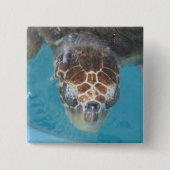 Schaltfläche Button (Vorderseite)