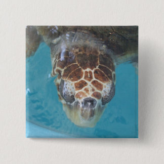 Schaltfläche Button