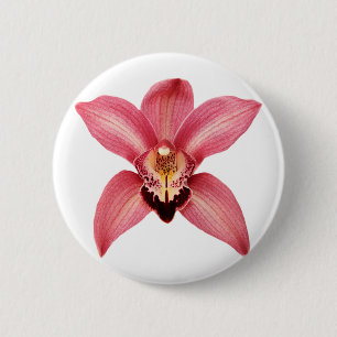Schaltfläche Button