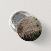 Schaltfläche Button (Vorne & Hinten)