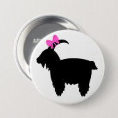 Schaltfläche Button (Vorne & Hinten)