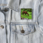 Schaltfläche Button (Beispiel)