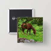 Schaltfläche Button (Vorne & Hinten)