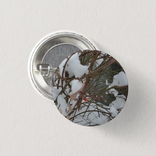 Schaltfläche Button (Vorne & Hinten)