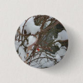 Schaltfläche Button (Vorderseite)