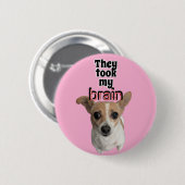 Schaltfläche Button (Vorne & Hinten)