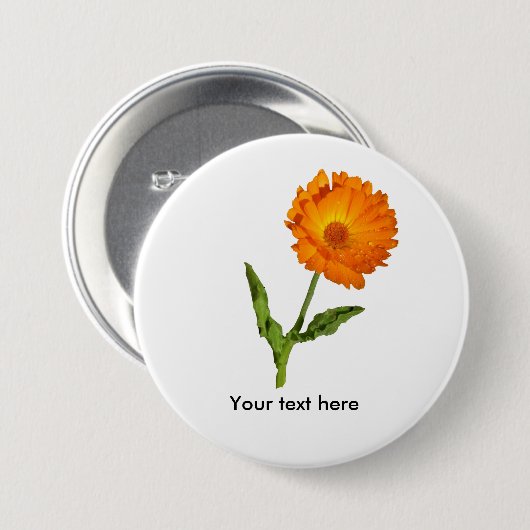 Schaltfläche - Calendula mit Text Button (Vorne & Hinten)