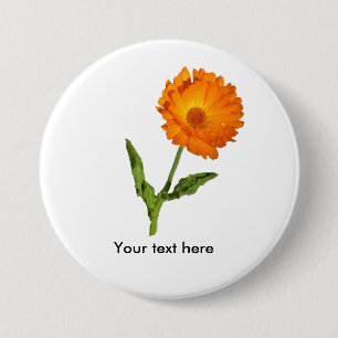 Schaltfläche - Calendula mit Text Button
