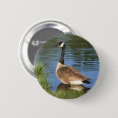 Schaltfläche "Canada Goose Animal Art" Button (Vorne & Hinten)