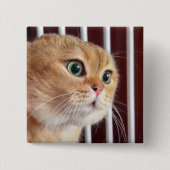 Schaltfläche "Cats Meme"-Button Button (Vorderseite)