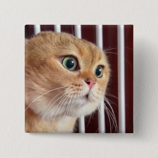 Schaltfläche "Cats Meme"-Button Button (Vorderseite)