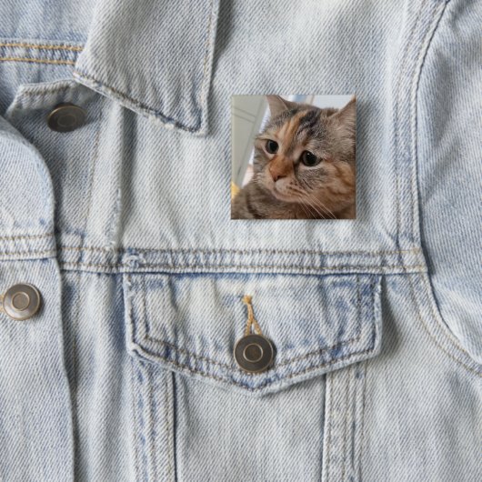 Schaltfläche "Cats Meme"-Button Button (Beispiel)