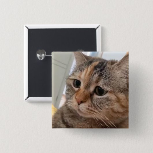 Schaltfläche "Cats Meme"-Button Button (Vorne & Hinten)